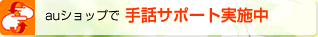 au�V���b�v�Ŏ�b�T�|�[�g���{��